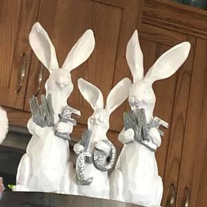 Meet your Posher, Liz